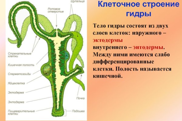 Оригинальные ссылки кракена